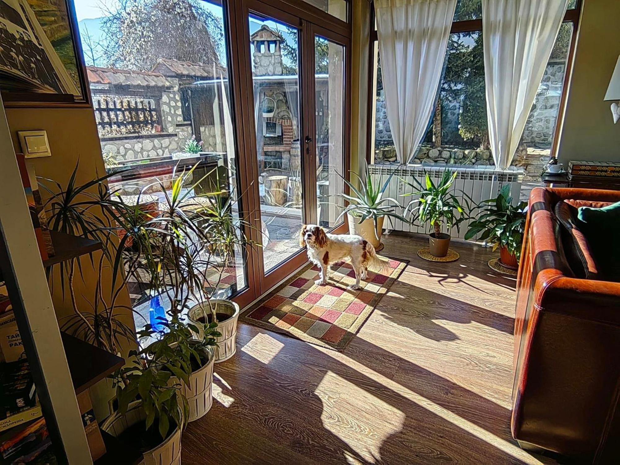 Hotel Famil - Adults Only Bansko Extérieur photo
